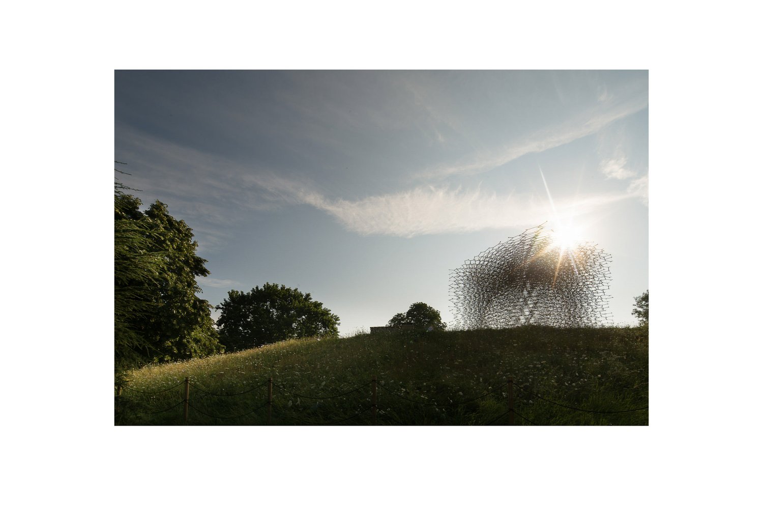 Wolfgang Buttress Hive Kew-349.jpg